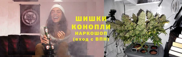 дживик Абинск