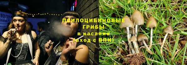 дживик Абинск