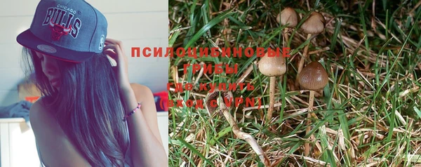 дурь Алзамай