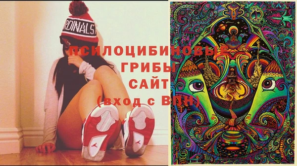 ешки Алексин
