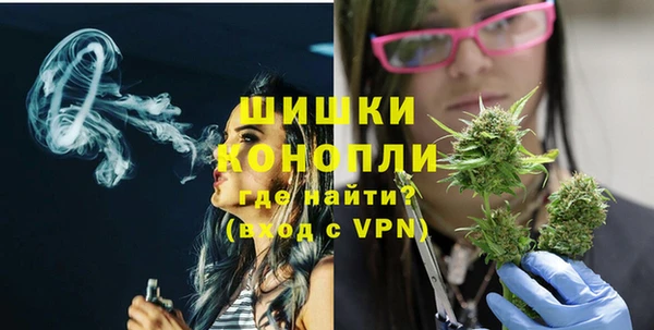 дживик Абинск