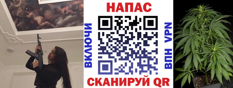дарнет шоп  Мостовской  Бошки Шишки планчик 